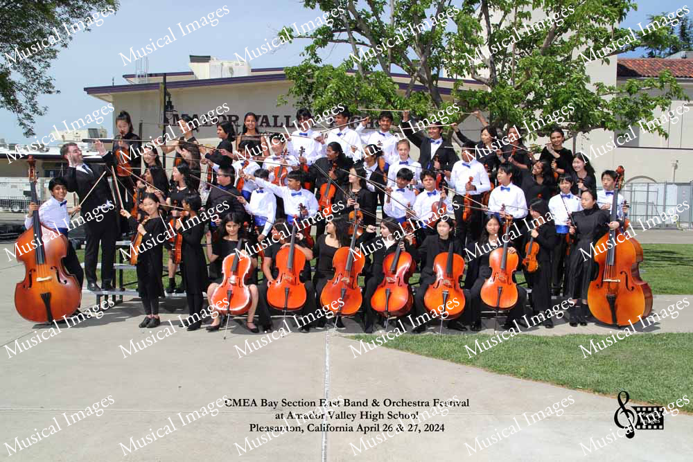 Musical Images